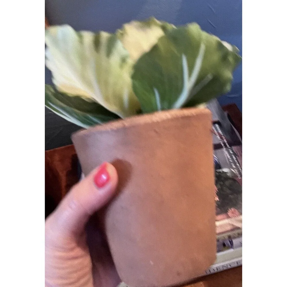Realistic Potted Cabbage Plastic Ceramic Pot Garden Spring Easter 7inch Green
